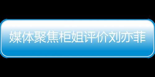 媒体聚焦柜姐评价刘亦菲微胖引发争议，被辞退事件深度解析