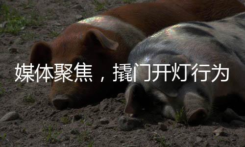 媒体聚焦，撬门开灯行为不是宠客，实为赶客