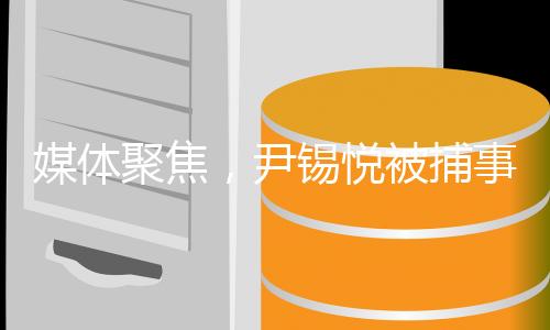 媒体聚焦，尹锡悦被捕事件引发关注，李在明难以掩笑