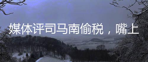 媒体评司马南偷税，嘴上爱国不作数