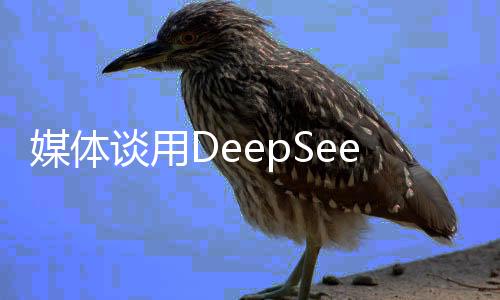 媒体谈用DeepSeek创收的小公司