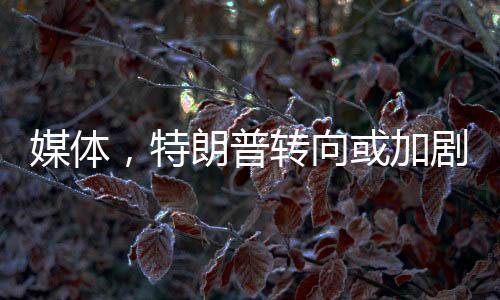媒体，特朗普转向或加剧美股抛售