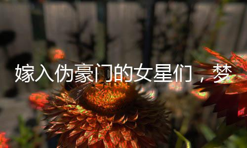 嫁入伪豪门的女星们，梦想与现实间的困局