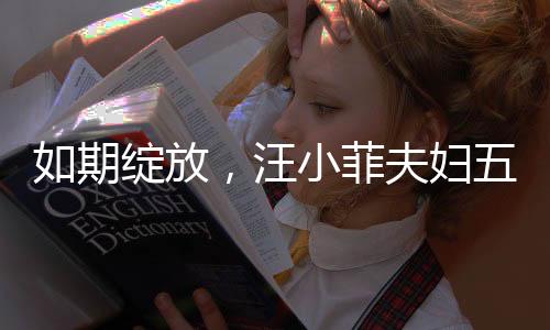 如期绽放，汪小菲夫妇五月婚礼盛大举行