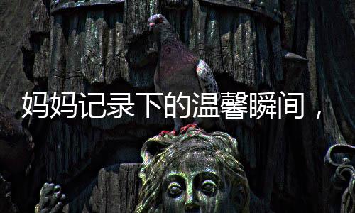 妈妈记录下的温馨瞬间，孩子与狗狗的打架趣事