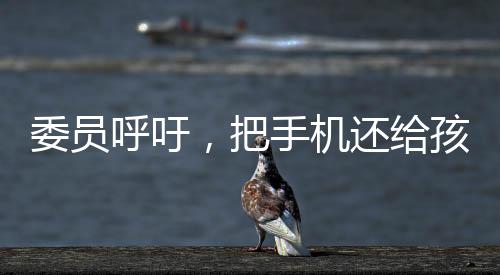 委员呼吁，把手机还给孩子——关于数字化时代的儿童教育探讨