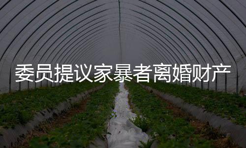 委员提议家暴者离婚财产分配需少分或不分，引起社会热议
