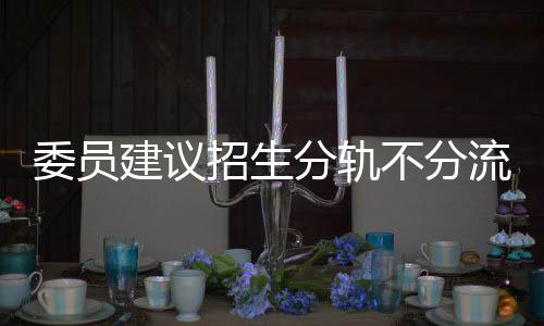 委员建议招生分轨不分流，探讨多元化招生路径与平等教育机遇