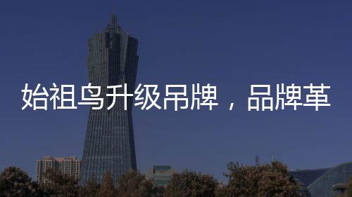 始祖鸟升级吊牌，品牌革新与时尚魅力的融合篇章