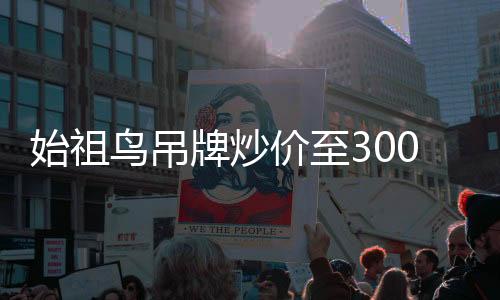 始祖鸟吊牌炒价至300元，探索时尚界的珍稀收藏品现象
