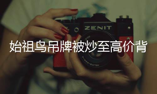 始祖鸟吊牌被炒至高价背后的故事