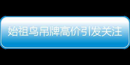 始祖鸟吊牌高价引发关注，一张吊牌被炒到300元