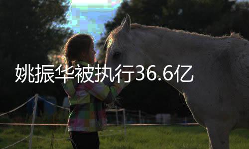 姚振华被执行36.6亿的新闻