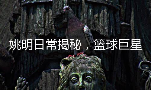 姚明日常揭秘，篮球巨星一天屏幕使用时长七八小时