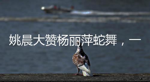 姚晨大赞杨丽萍蛇舞，一次舞蹈艺术的热烈碰撞