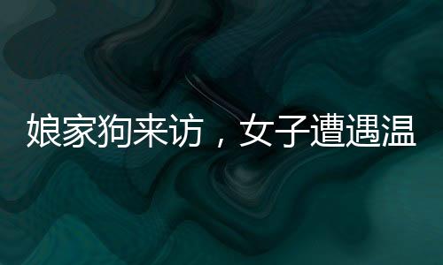 娘家狗来访，女子遭遇温情与现实的碰撞