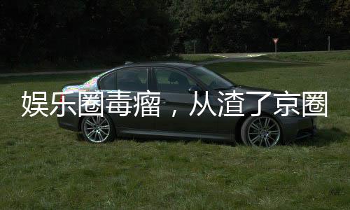 娱乐圈毒瘤，从渣了京圈格格开始