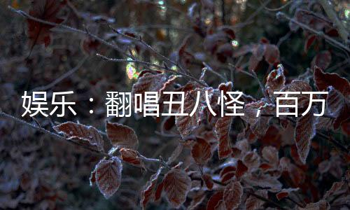 娱乐：翻唱丑八怪，百万网友破防