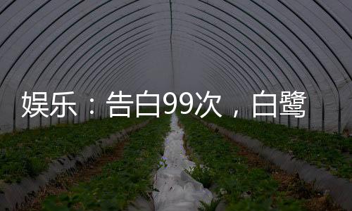 娱乐：告白99次，白鹭人设崩了