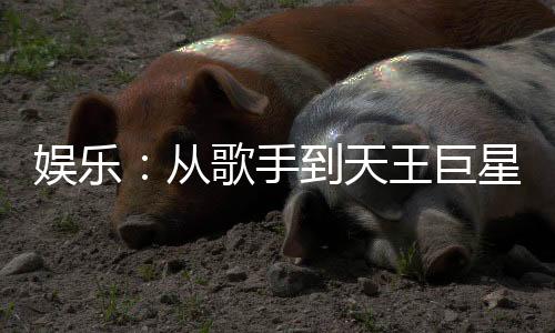 娱乐：从歌手到天王巨星