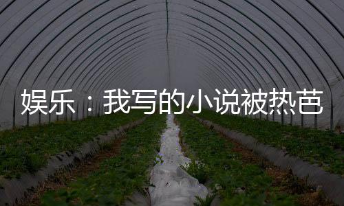 娱乐：我写的小说被热芭催更了！