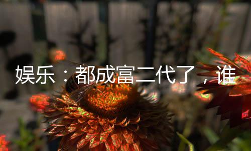 娱乐：都成富二代了，谁还当顶流