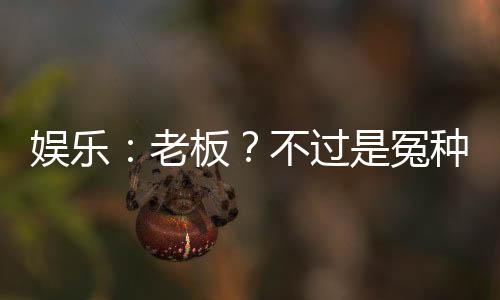娱乐：老板？不过是冤种罢了！