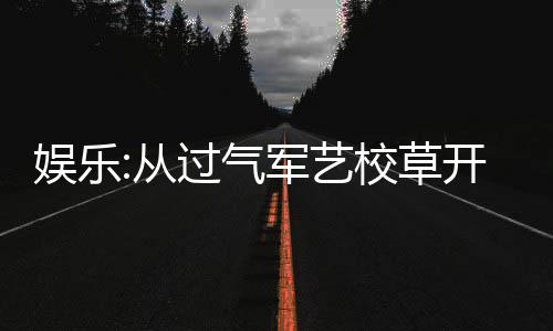 娱乐:从过气军艺校草开始