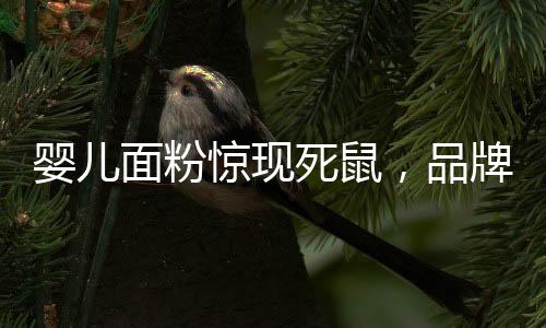 婴儿面粉惊现死鼠，品牌方紧急要求检测鼠龄——事件深度剖析