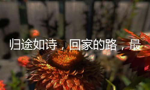 归途如诗，回家的路，最美的风景