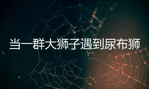 当一群大狮子遇到尿布狮，独特现象的生态解读