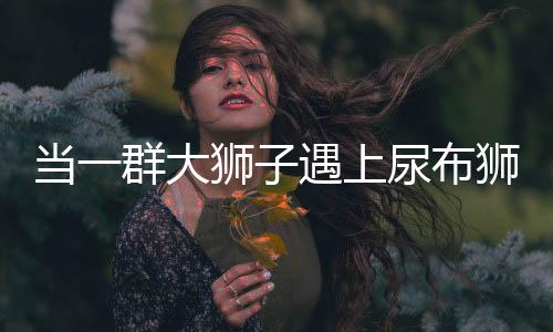 当一群大狮子遇上尿布狮，一次独特的动物观察经历