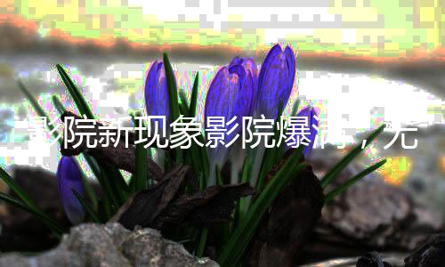 影院新现象影院爆满，无座票开卖——观影体验的新变革