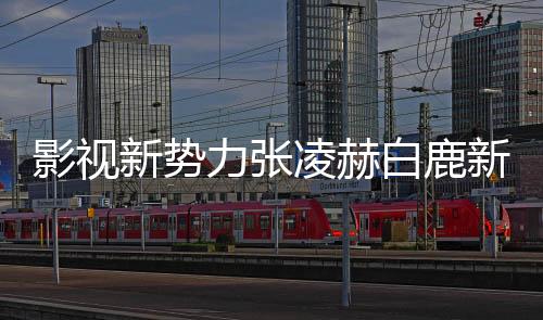 影视新势力张凌赫白鹿新戏对打，谁将成为新一代荧幕霸主？