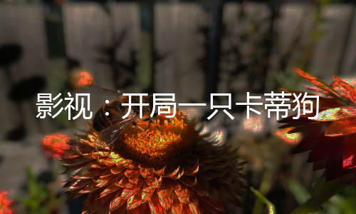 影视：开局一只卡蒂狗