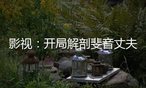 影视：开局解剖斐音丈夫