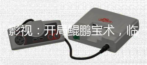 影视：开局鲲鹏宝术，临安倒贴