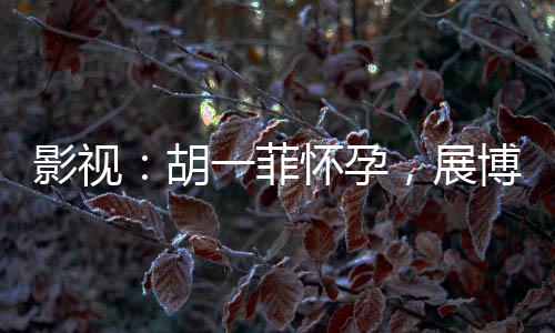 影视：胡一菲怀孕，展博被捕入狱