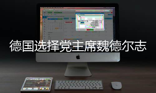 德国选择党主席魏德尔志在下次选举获胜