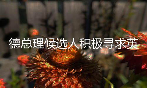 德总理候选人积极寻求英法核武器保护，引发国际社会关注