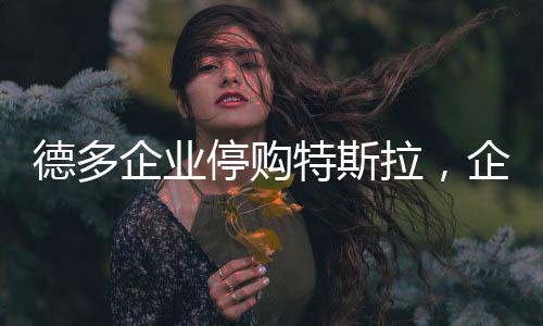 德多企业停购特斯拉，企业决策背后的深度考量