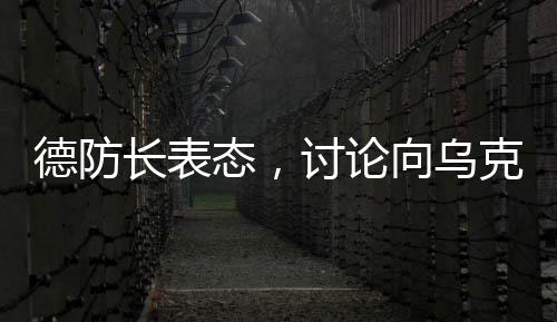 德防长表态，讨论向乌克兰派兵尚为时过早