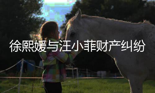 徐熙媛与汪小菲财产纠纷持续不断，涉及金额高达750万
