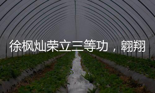 徐枫灿荣立三等功，翱翔蓝天，功勋卓著
