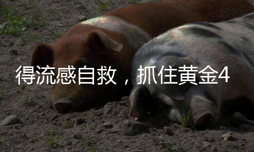 得流感自救，抓住黄金48小时，守护健康防线
