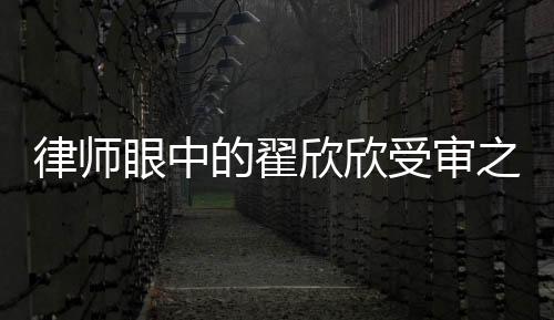律师眼中的翟欣欣受审之路，其状态欠佳