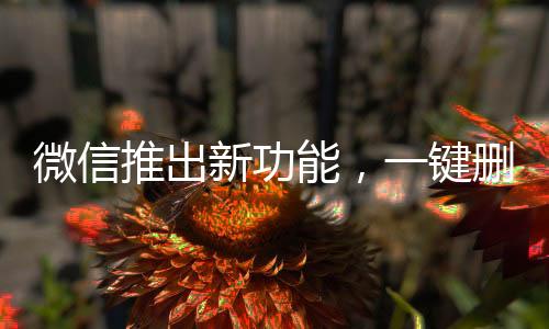 微信推出新功能，一键删除单向好友，轻松维护好友关系