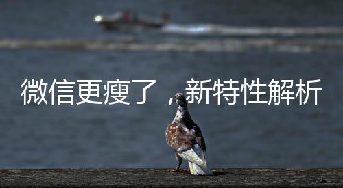 微信更瘦了，新特性解析与用户体验洞察