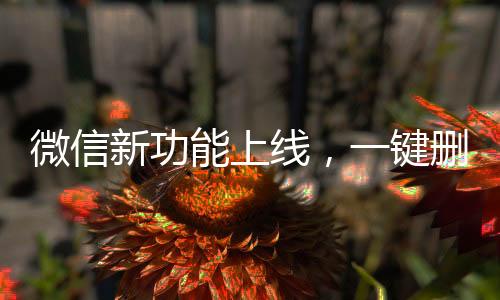 微信新功能上线，一键删除单向好友，轻松维护社交关系