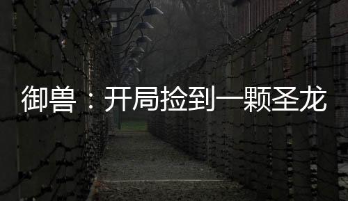 御兽：开局捡到一颗圣龙蛋